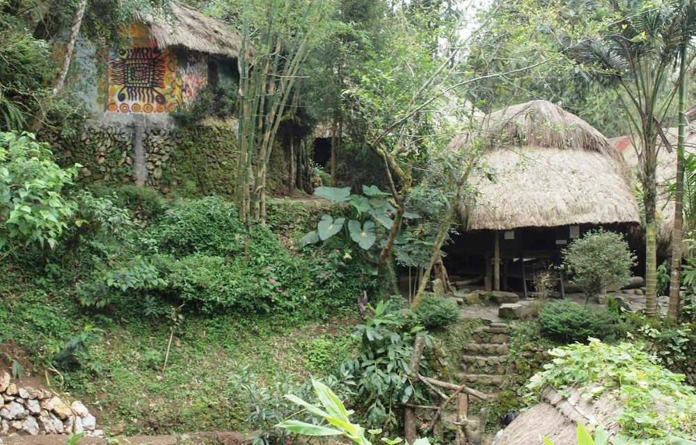 Forest Valley Homestay Attraction Pictures