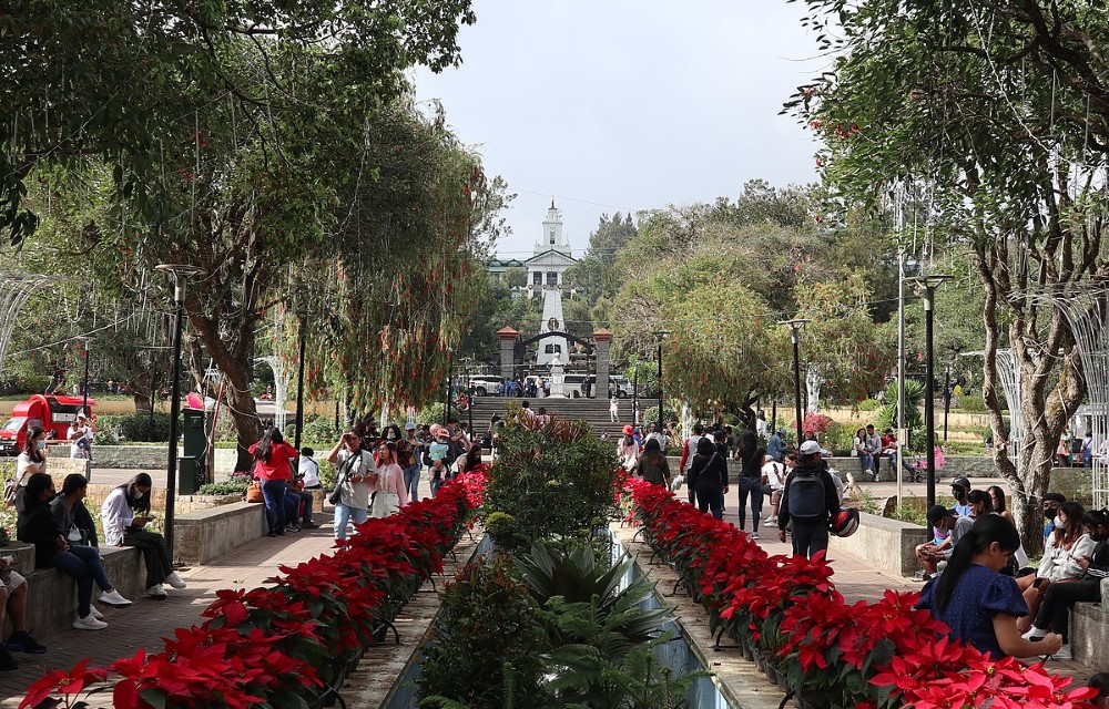 Forest Valley Homestay Attraction Pictures